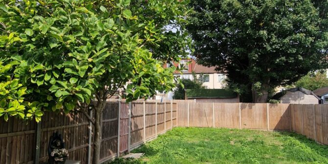 New beechwood 3